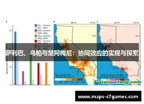 萨利巴、乌帕与楚阿梅尼:协同效应的实现与探索